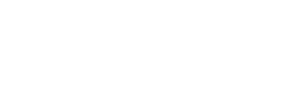 Les Infostratèges